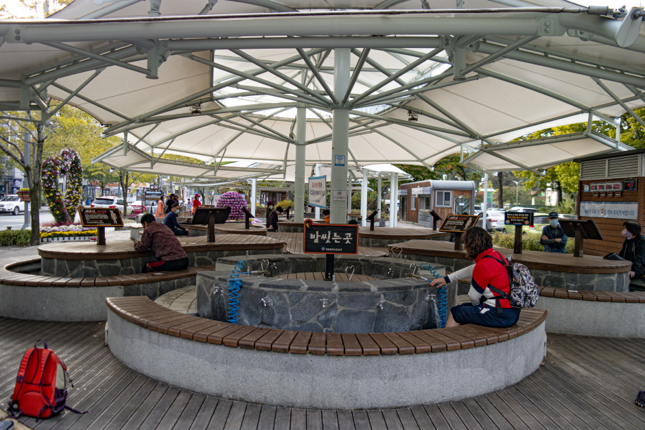 대전 가볼만한곳 베스트10