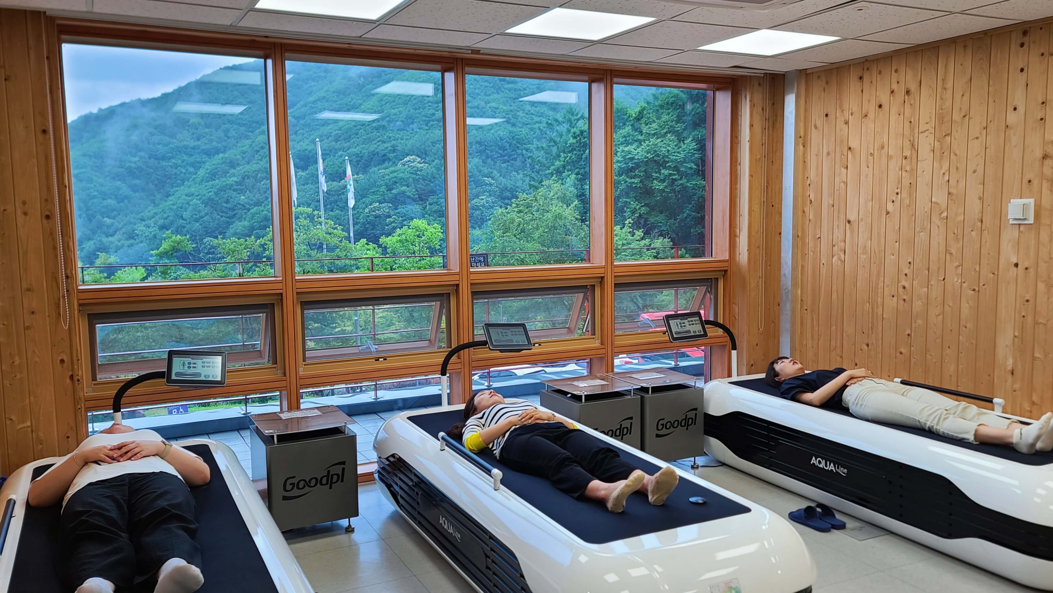 국립산림치유원&amp;#44; 산림치유원 예약&amp;#44; 국립산림치유원 요금&amp;#44; 국립산림치유원 프로그램&amp;#44; 국립산림치유원 후기&amp;#44; 국립산림치유원 숙박&amp;#44; 국립산림치유원 프로그램 추천&amp;#44; 산림 테라피&amp;#44; 숲 명상&amp;#44; 산림 치유 프로그램 예약 방법