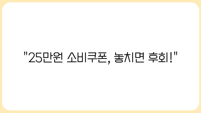 민생회복 소비쿠폰 전국민 25만원 신청 조건