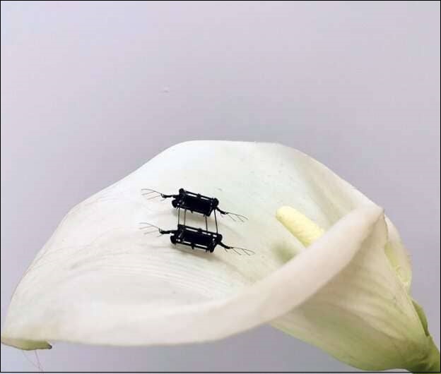 소프트 액추에이터 기반 새 마이크로 공중 로봇