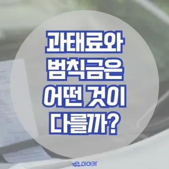 범칙금과 과태료의 차이한눈에 비교하기로_3