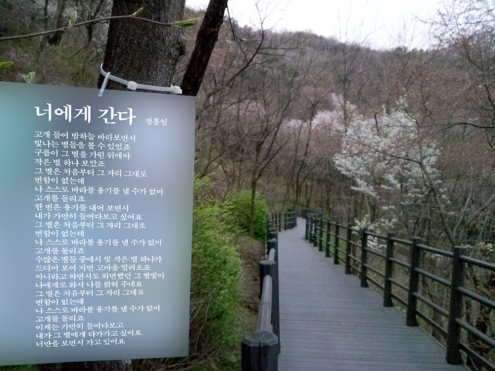 정홍일의 너에게 간다