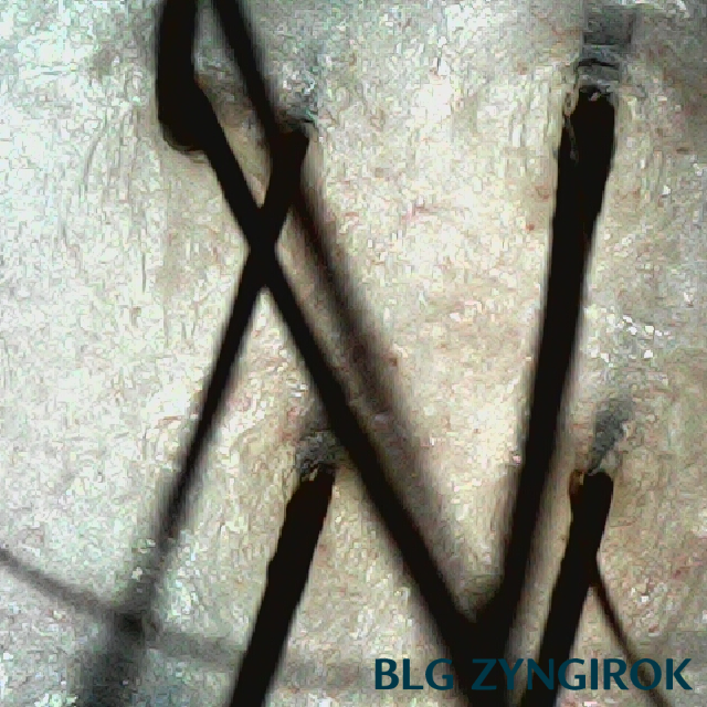 피나모아 복용 8주차 두피사진 - 뒷머리 모습이다.