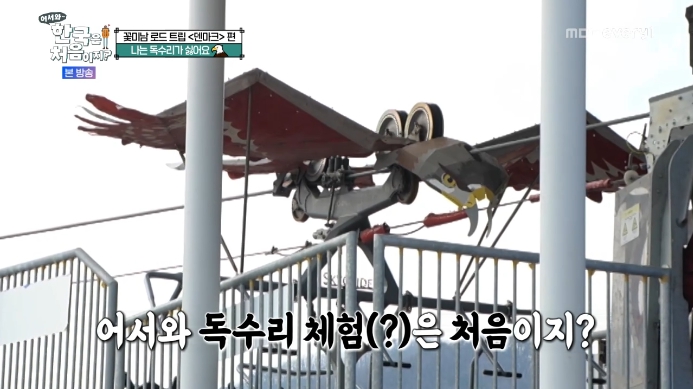 어서와-한국은-처음이지-독수리-글라이더