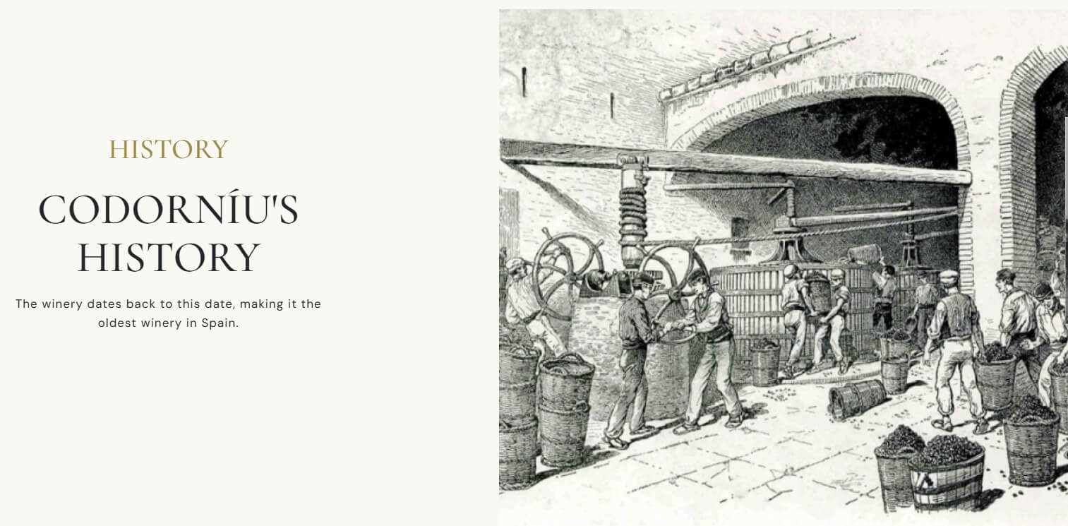 [Spain] Codorníu Ars Collecta Blanc de Blancs Reserva 2021, Cava｜코도르뉴 아르스 콜렉타 블랑 드 블랑 레세르바 2021, 스페인 까바