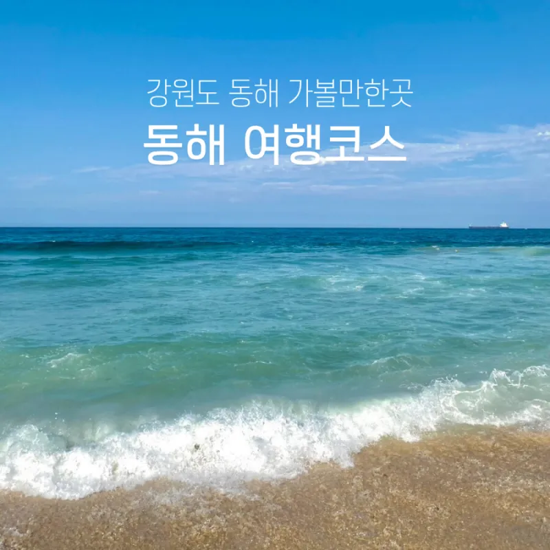 동해 가볼만한곳 맛집 추천 카페 봄 베스트 10_9