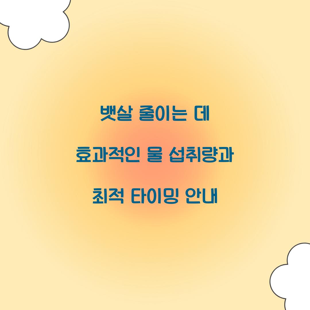 뱃살 줄이는 데 효과적인 물 섭취량