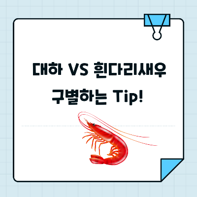 대하 흰다리새우 구별팁 썸네일