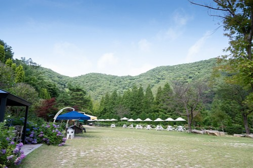 특색 있고 아름다운 민간 정원 30선 추천 여행 - 14. 고성 그레이스 정원