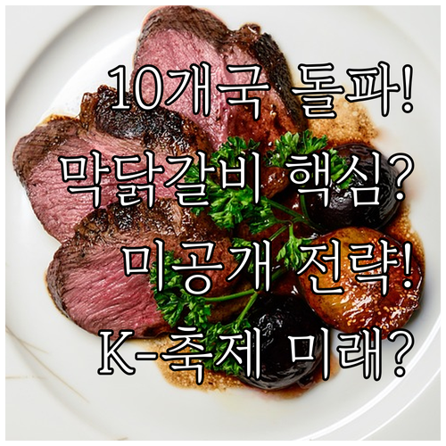 해외 10개국 참여 춘천 막국수 닭갈..