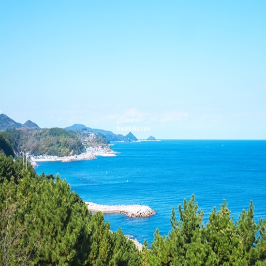 8월 여행지 추천