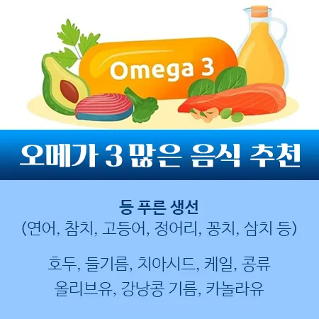 오메가 3 많은 음식