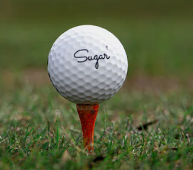 스크린 골프장 창업에 대하여 알아보기