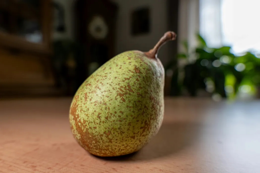 돌배주-담그기-효능-관련-사진