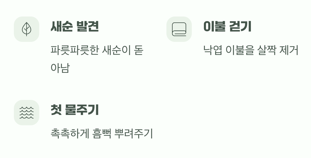 봄이 오면 깨워주는 첫 물 한잔