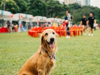 양평 용문산 산나물 축제