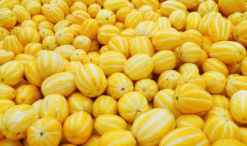 참외 칼로리 영양성분