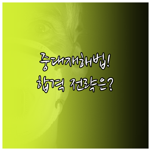 중대재해법 핵심 인력 산업안전기사 응..