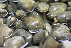 지방간에 좋은 음식07