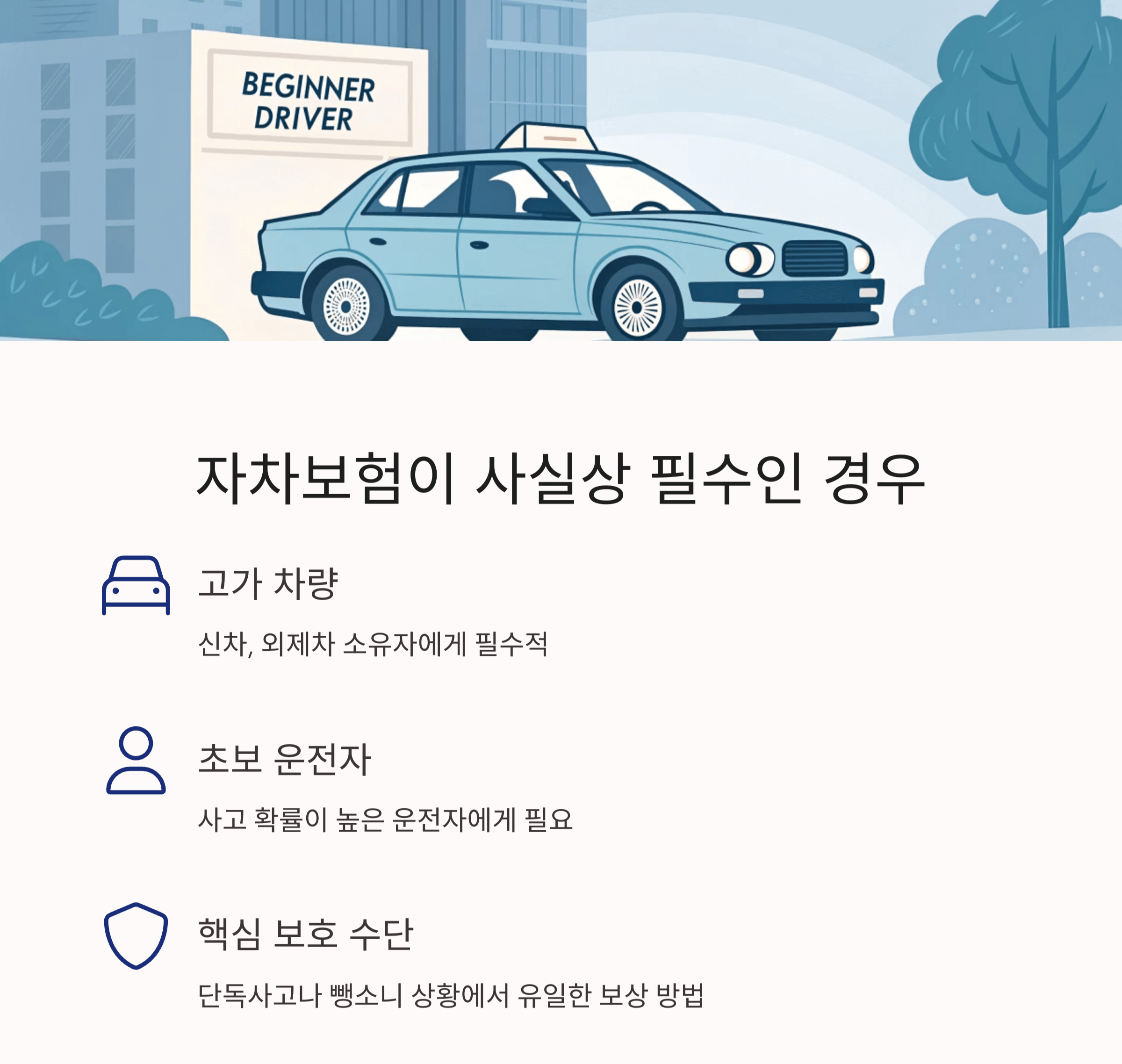 고가 차량과 초보 운전자는 자차보험이 '사실상 필수'
