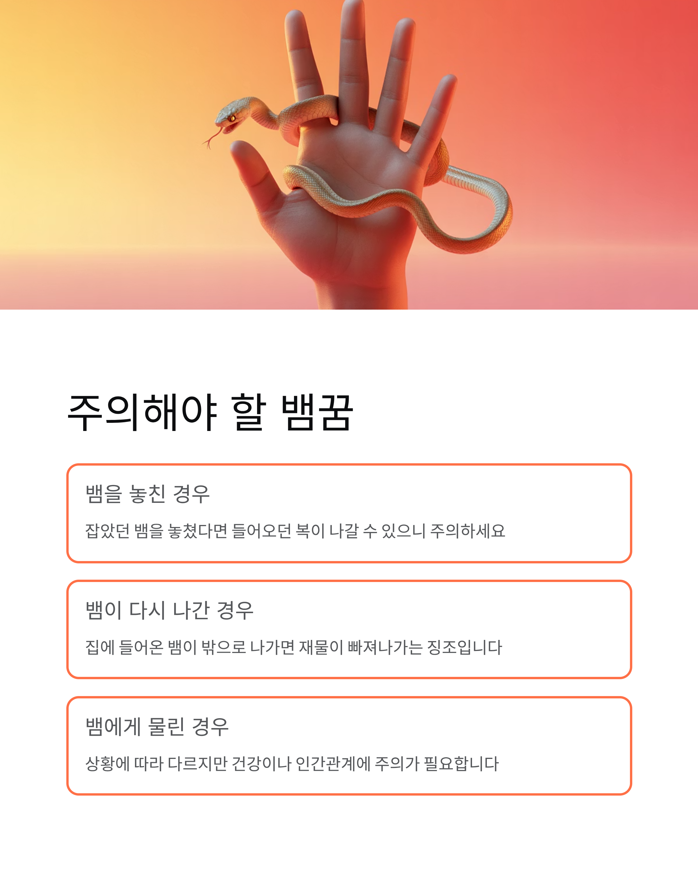 뱀 잡는 꿈 뱀 죽이는 꿈 뱀이 집에 들어오는 꿈 해몽 총정리! 로또 사야 할까?