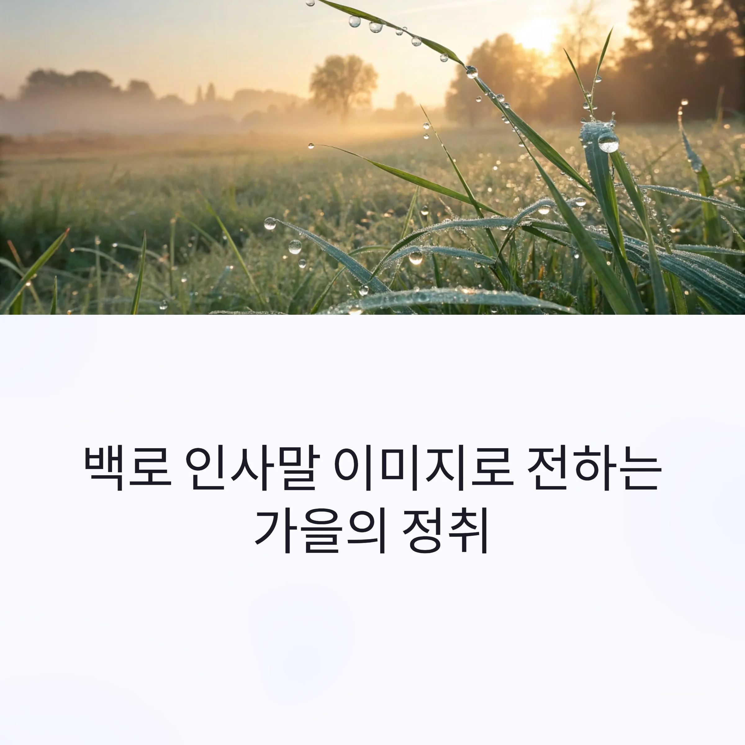 백로-인사말-이미지-가을정취