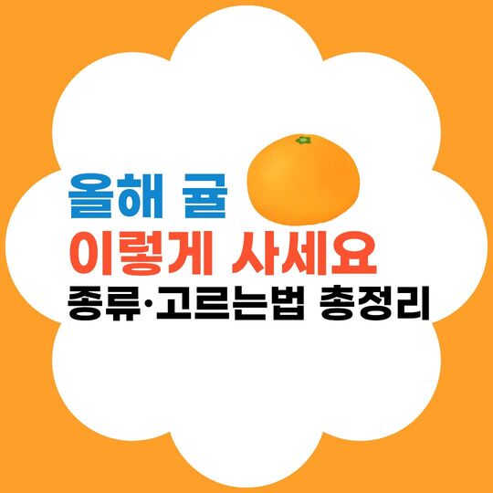 귤 종류-귤 고르는법 총정리 썸네일