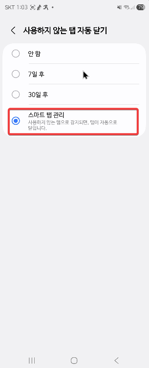 삼성 갤럭시 인터넷 브라우저 탭 자동 닫기 설정 하기4