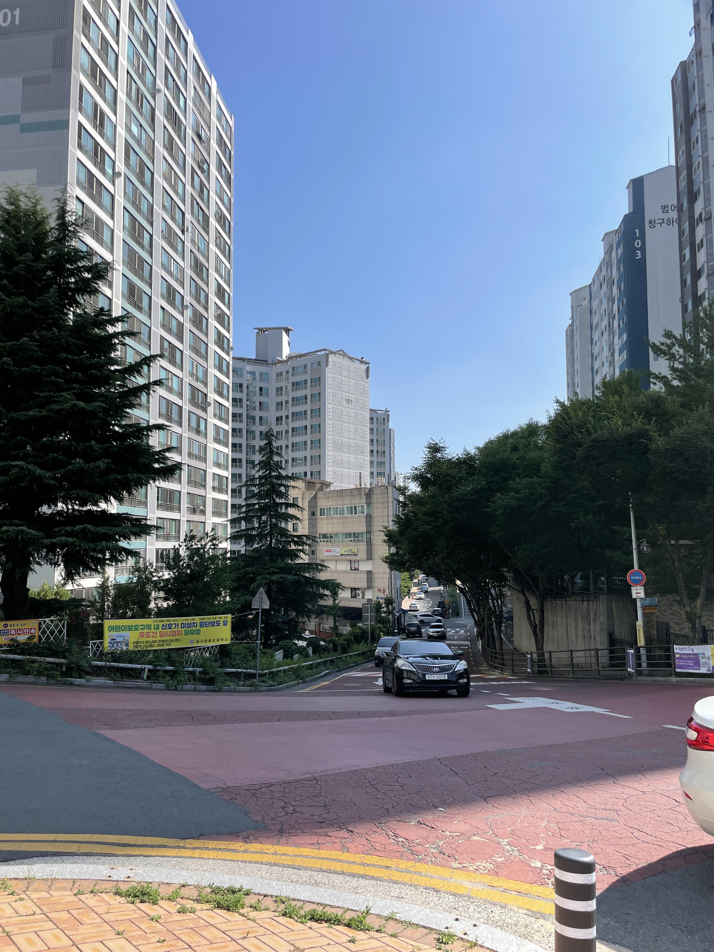수성구임장