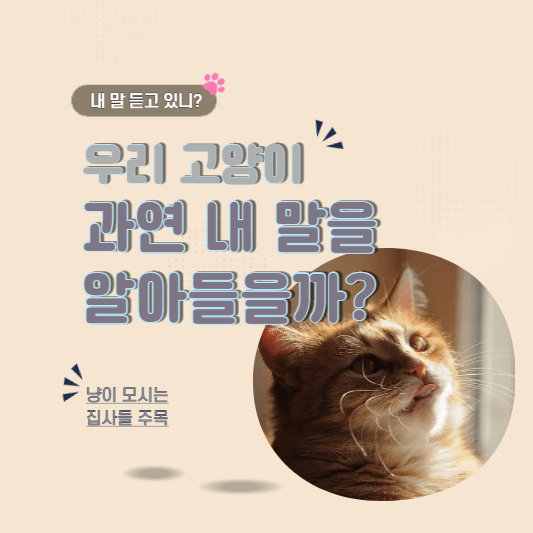 고양이사람말