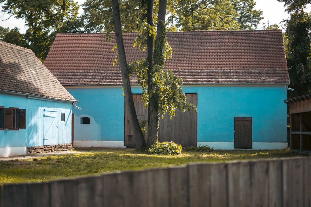 Blue House
