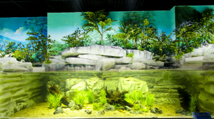 단양 아쿠아리움