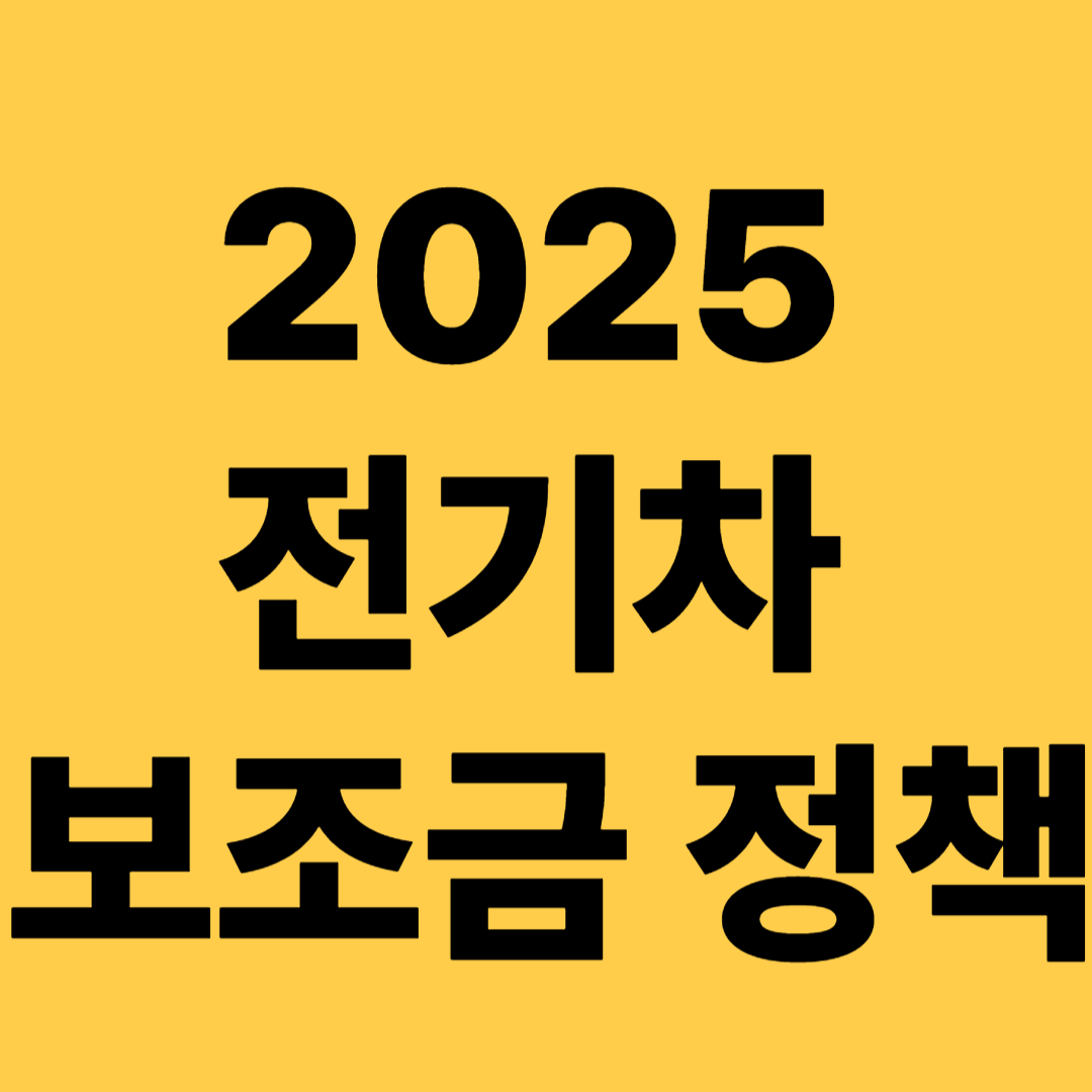 2025 전기차 보조금 정책