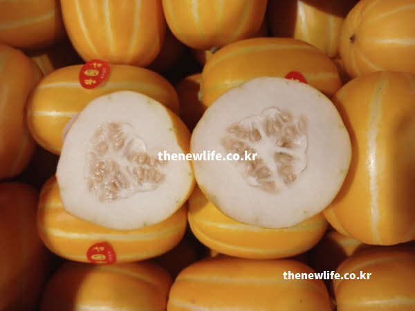 참외 효능의 다양한 영양 성분이 풍부한 참외 실사진