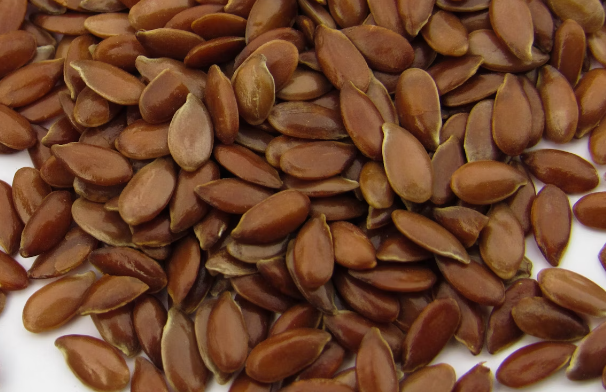 아마씨유 효능 : 항산화 효과