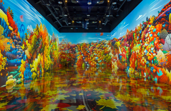 화담채 미디어아트 사진