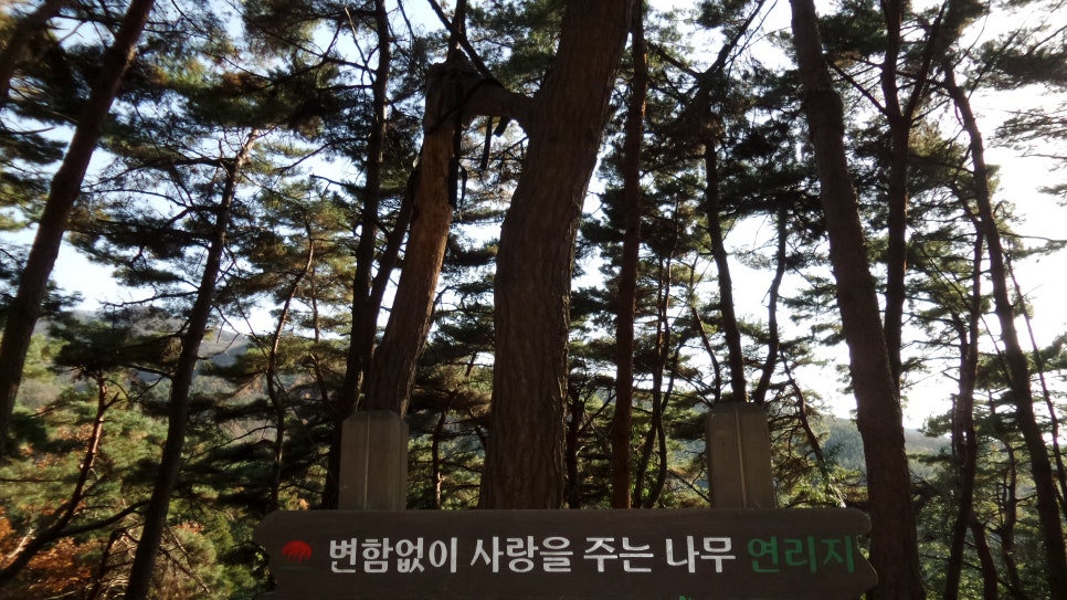 100대 명산 등산하기 네번째 모악산은 어머니 품처럼 따뜻한 산 전라북도의 정신이 깃든 산