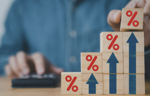 세종 새마을금고 예금금리 높은 곳 확인하기(BEST10)