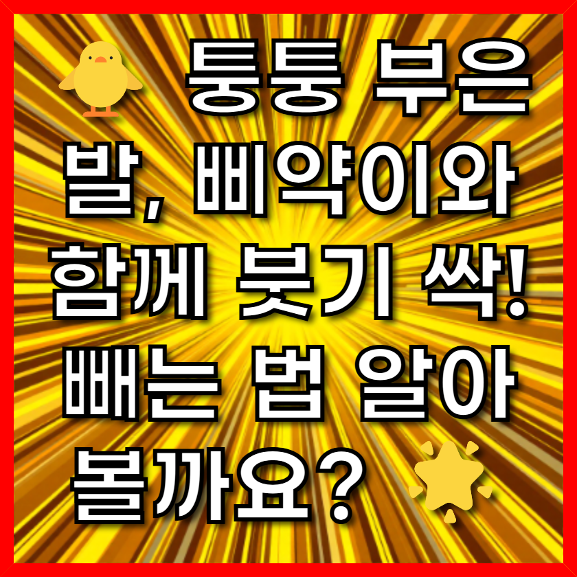 퉁퉁 부은 발, 삐약이와 함께 붓기 싹! 빼는 법 알아볼까요?