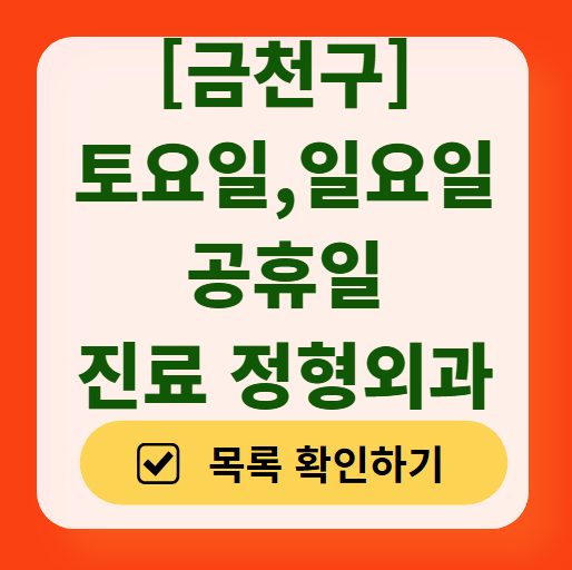 서울 금천구 주말 일요일 문 여는 정형외과 ❘ 토요일, 공휴일 진료 영업 병원 목록 찾기