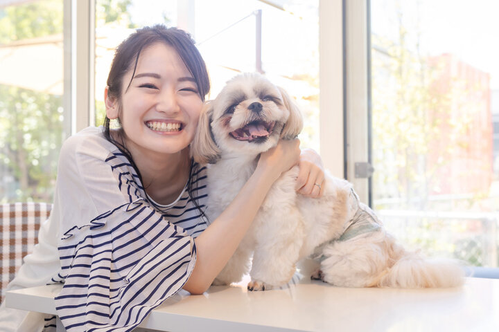 강아지 꿈 해몽 100가지 알아보기