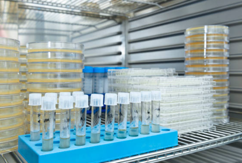 제약&middot;바이오 산업에서의 CMO/CDMO 시장 경쟁 분석