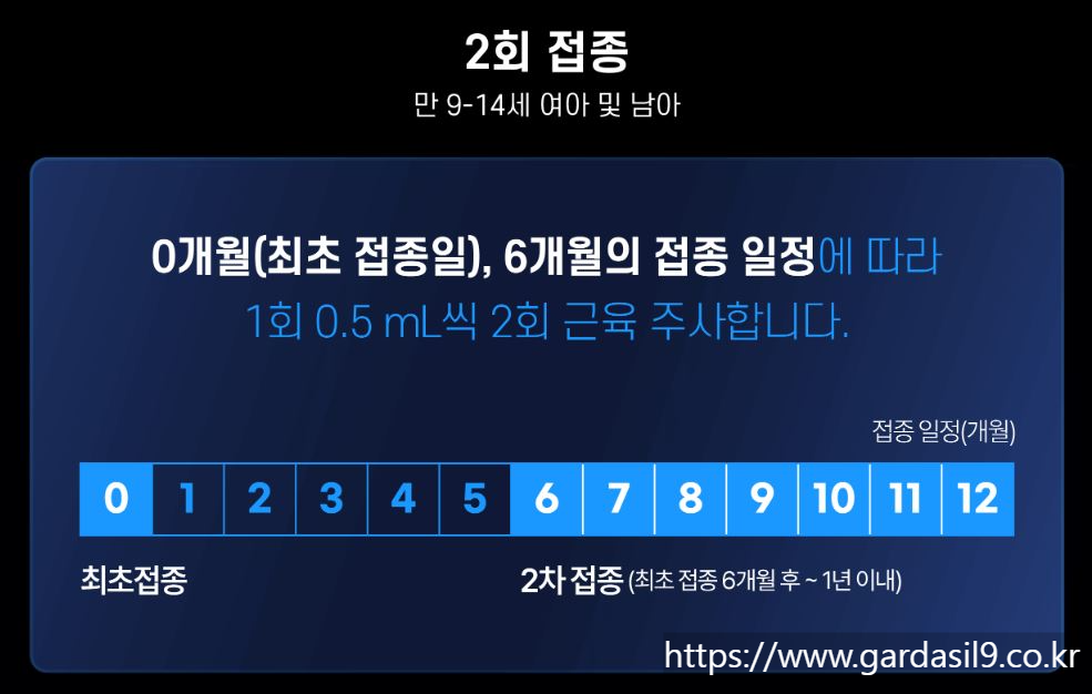 가다실 9가