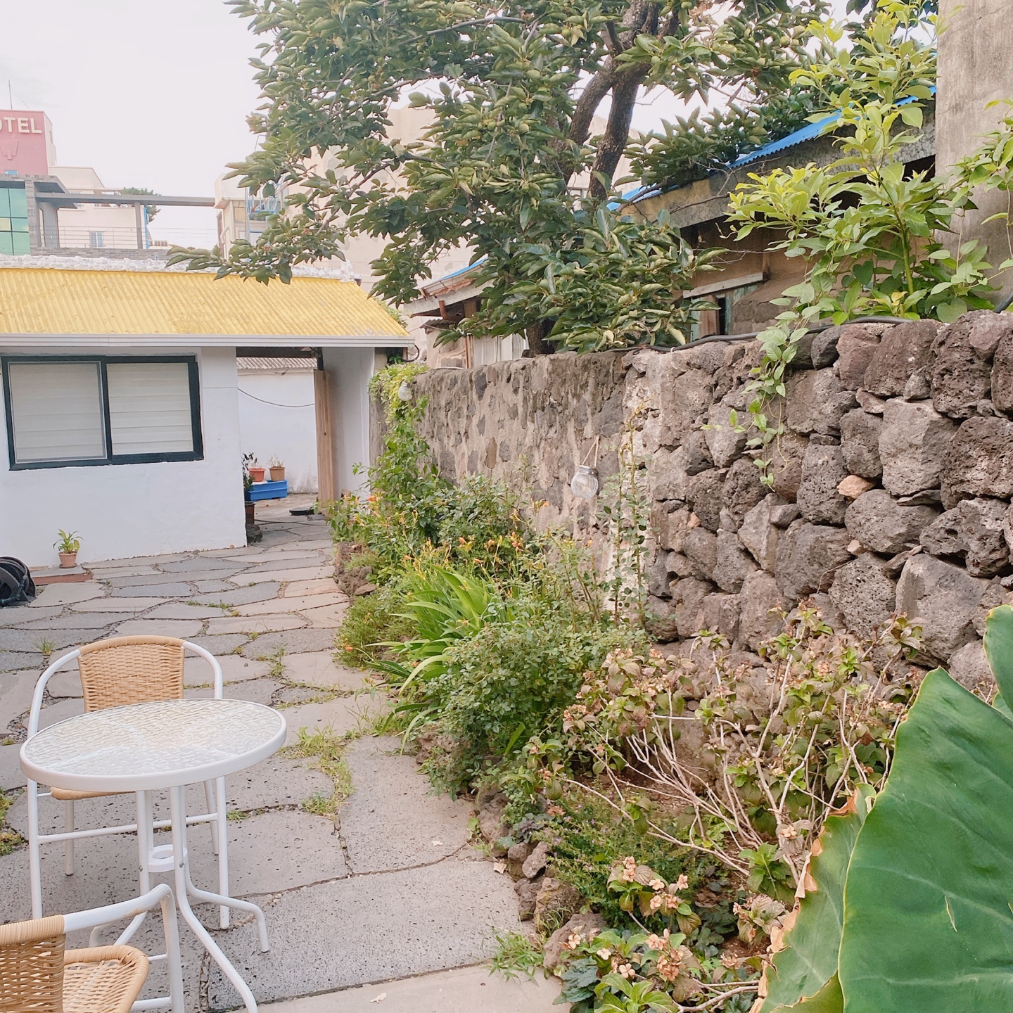 제주 동문시장 주택 구옥개조 북카페 무화과한입