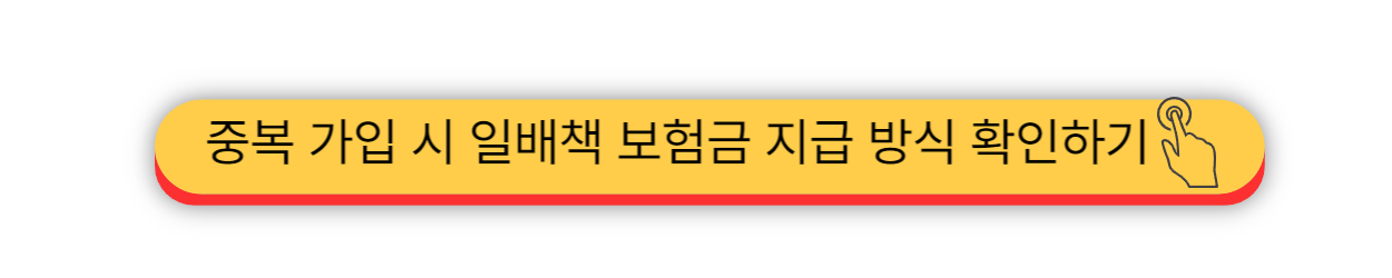 2025 - 일배책 자기부담금
