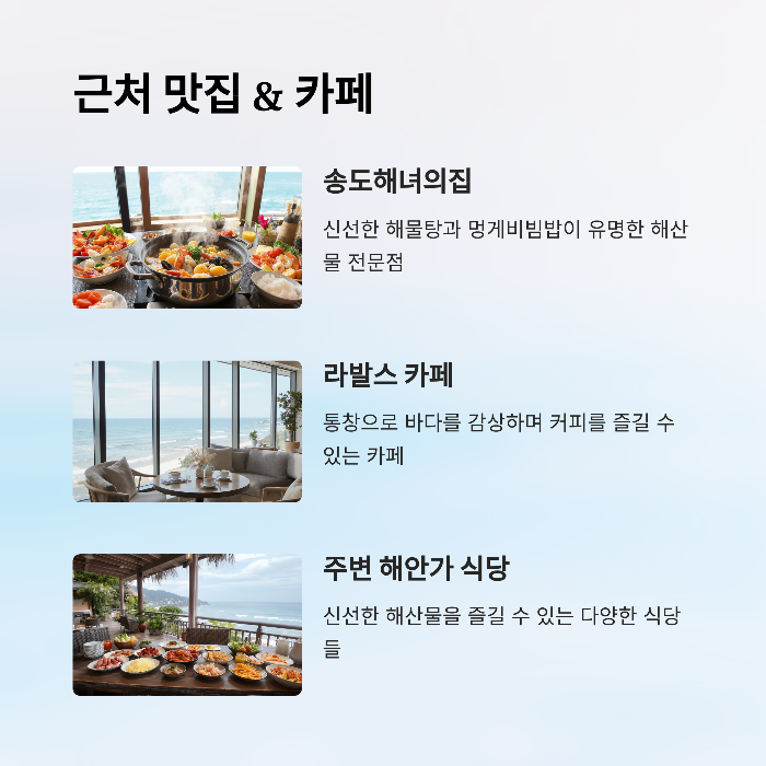 근처 맛집 및 카페 추천