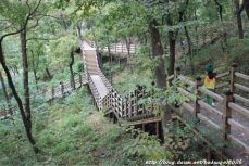 용인자연휴양림