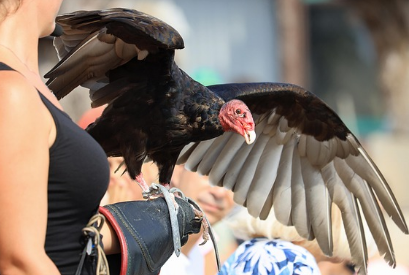 동물원 사육사 1일 체험 – 동물들과 함께 보낸 특별한 하루
