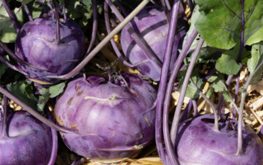 콜라비 효능과 먹는 방법, 요리법 완벽 정리!