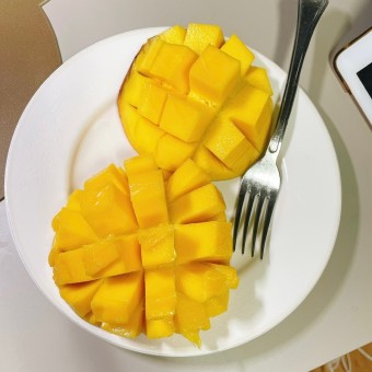 애플망고 효능 9가지와 부작용 및 애플망고 자르는법&amp;#44; 칼로리